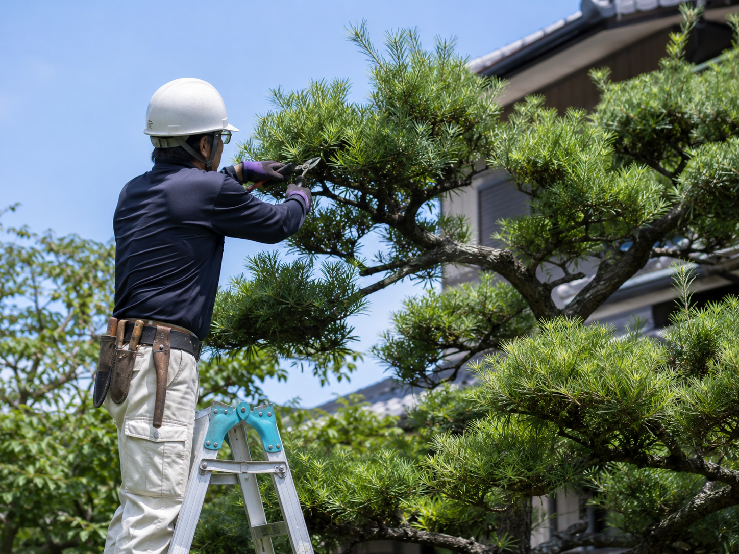 お客様の声と施工実績