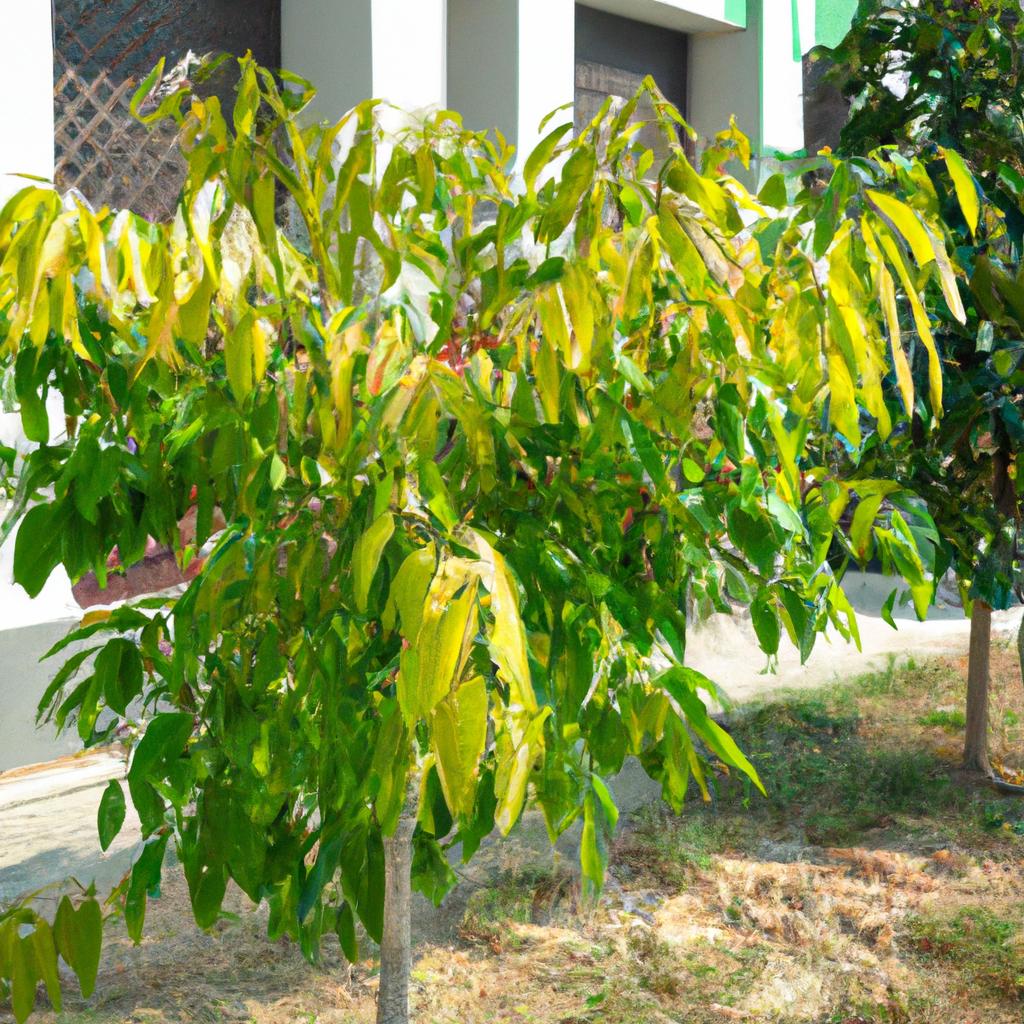 専門知識による植物診断