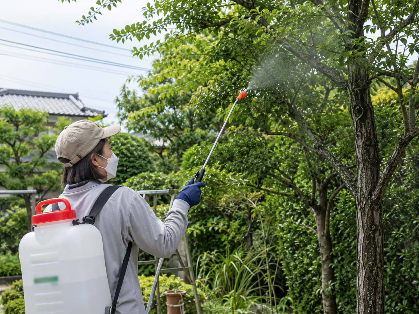 安全で効果的な消毒方法