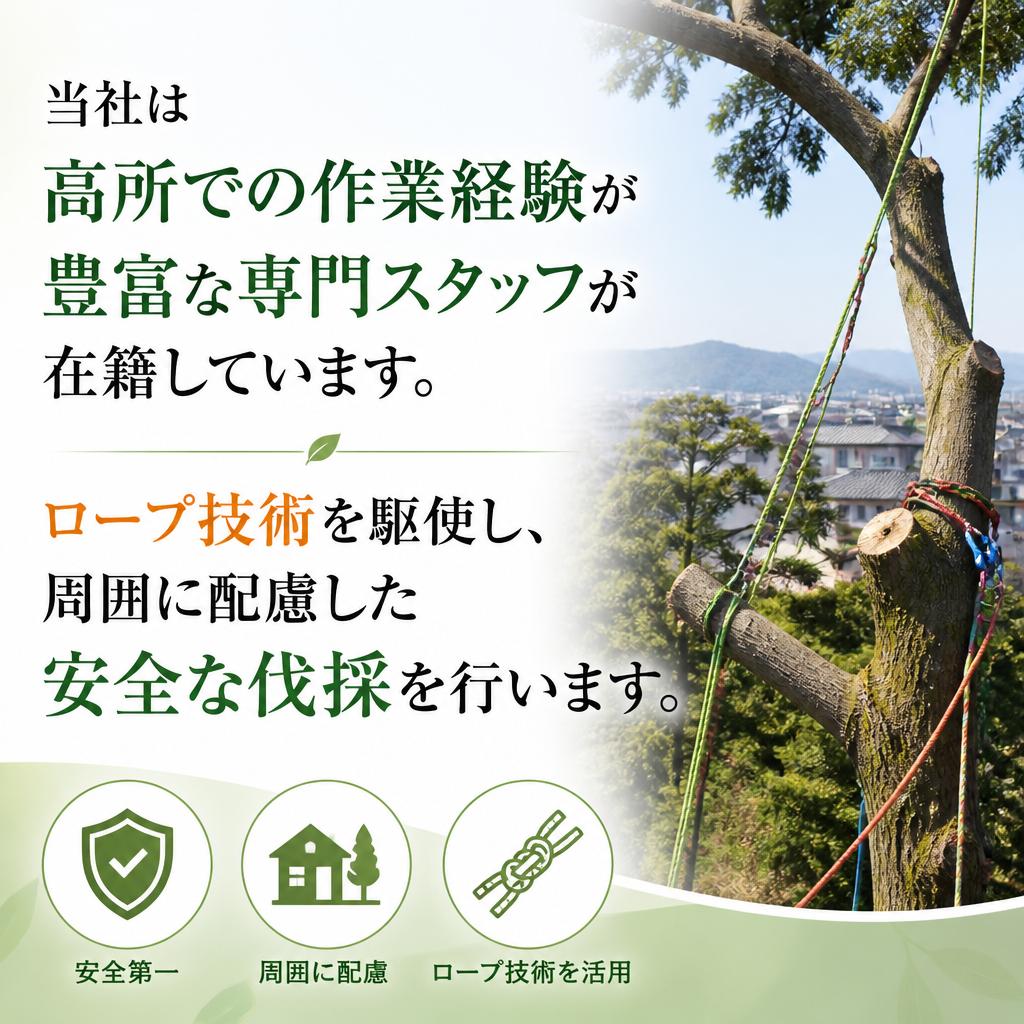 高所作業のプロフェッショナル