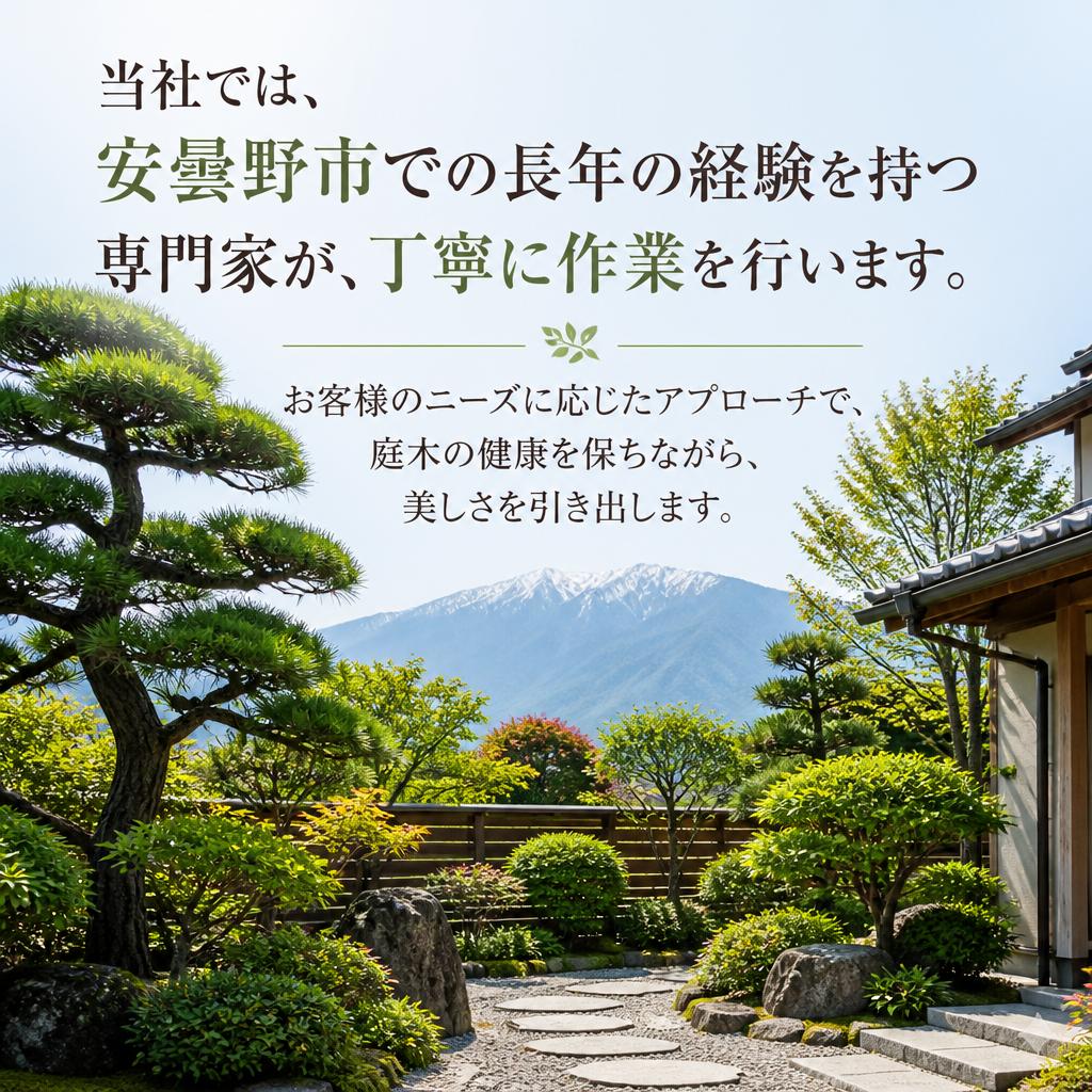 経験豊富な専門家によるサービス
