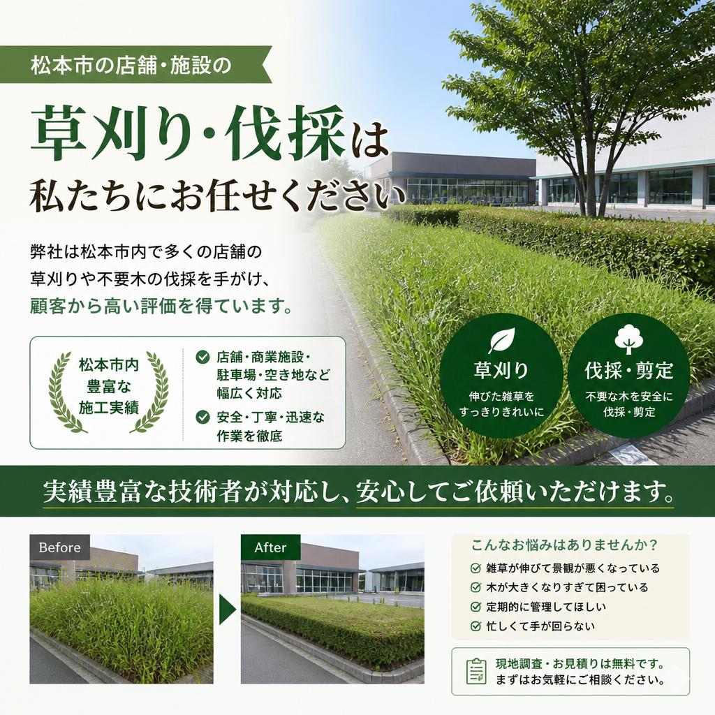 松本市での実績と評価