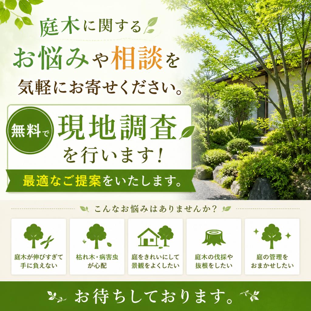 今すぐ無料相談！